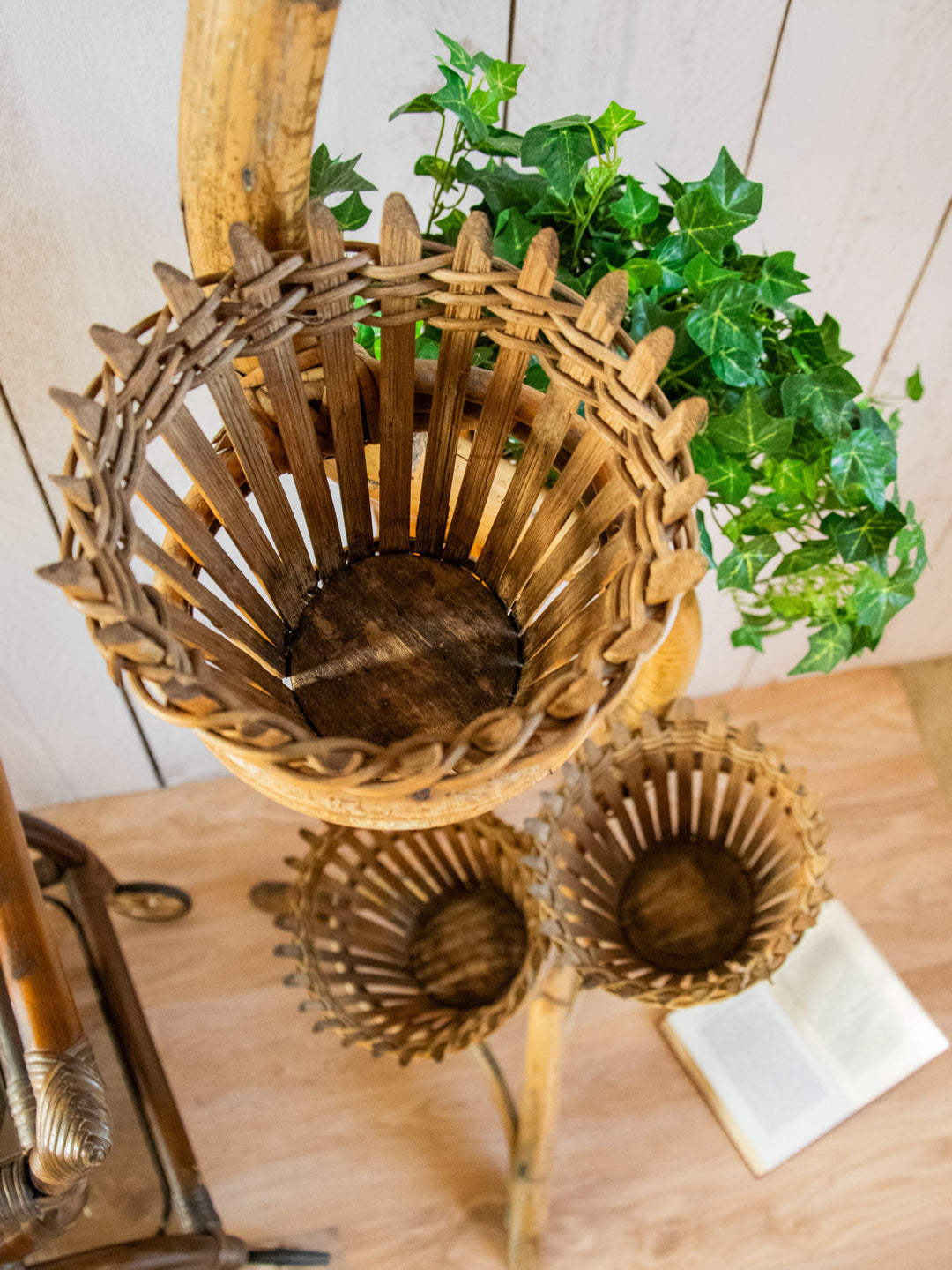 ariel-porte-plante-bambou-477-7