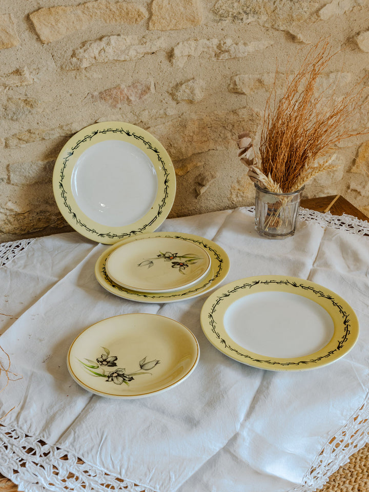 antoinette-assiette-vintage-faïence-226-7