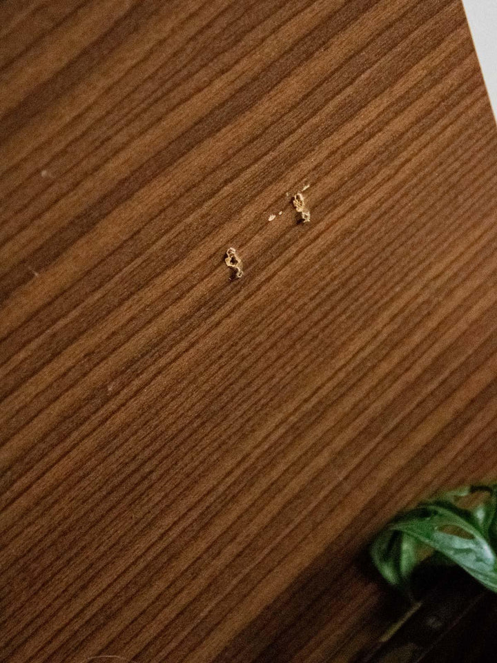 maïa-table-chevet-bois-685-6