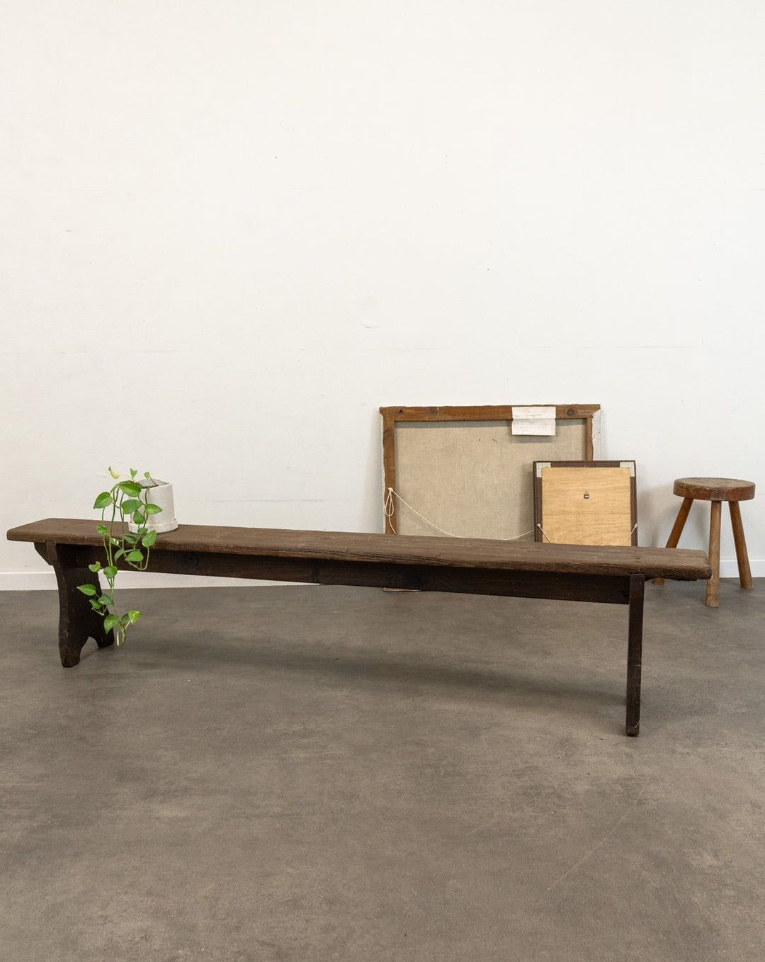 antoine-banc-sapin-454-1