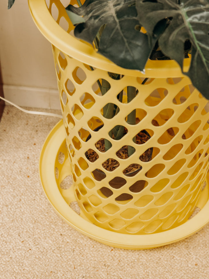 ambroise-panier-plastique-1009-4