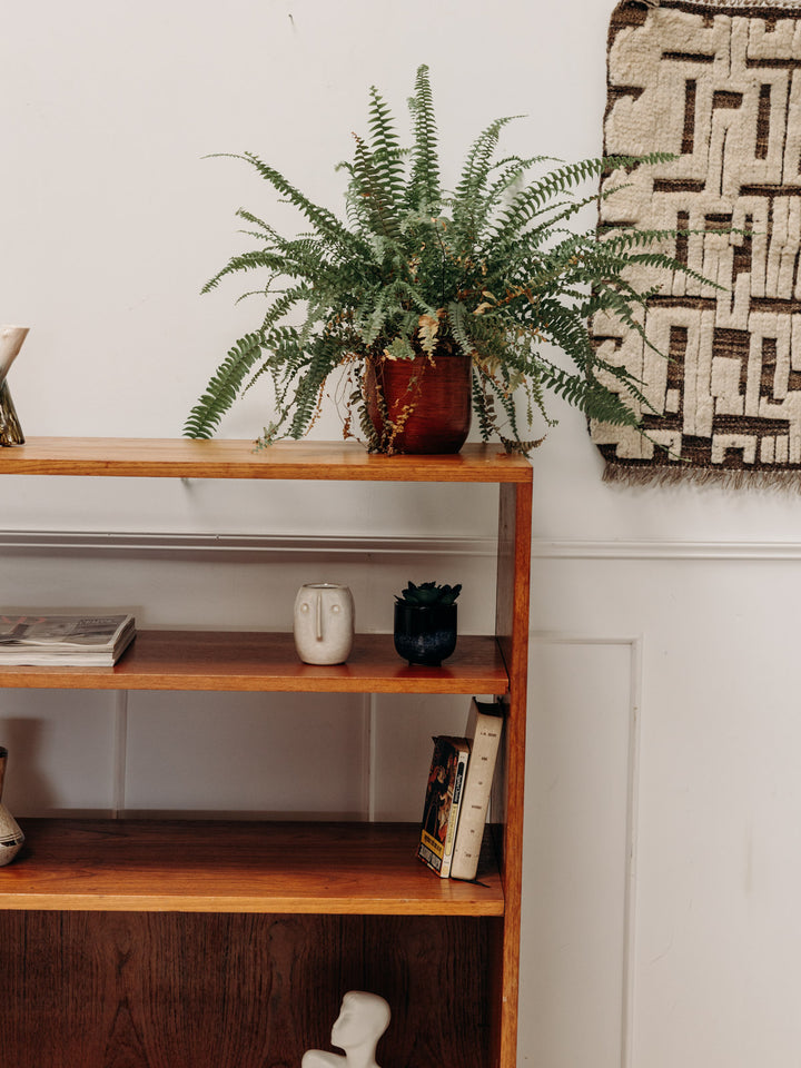 madeleine-bibliotheque-bois-87-4