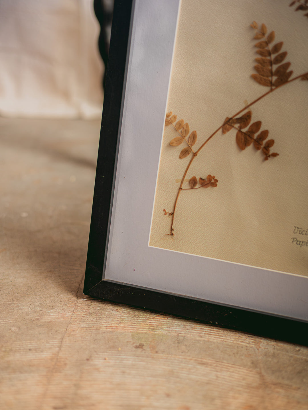 nina-herbier-427-8