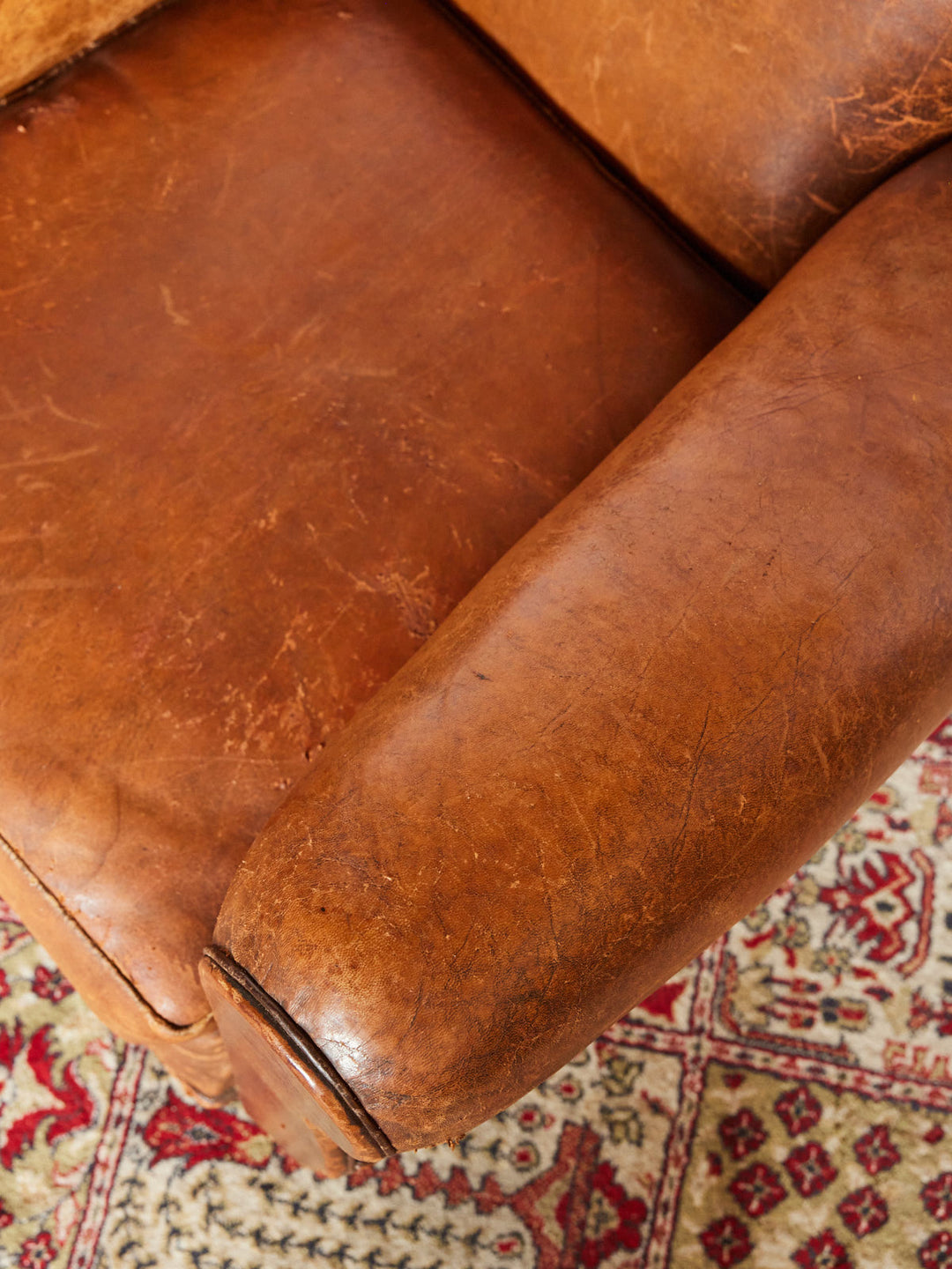 ernest-fauteuil-cuir-1103-7