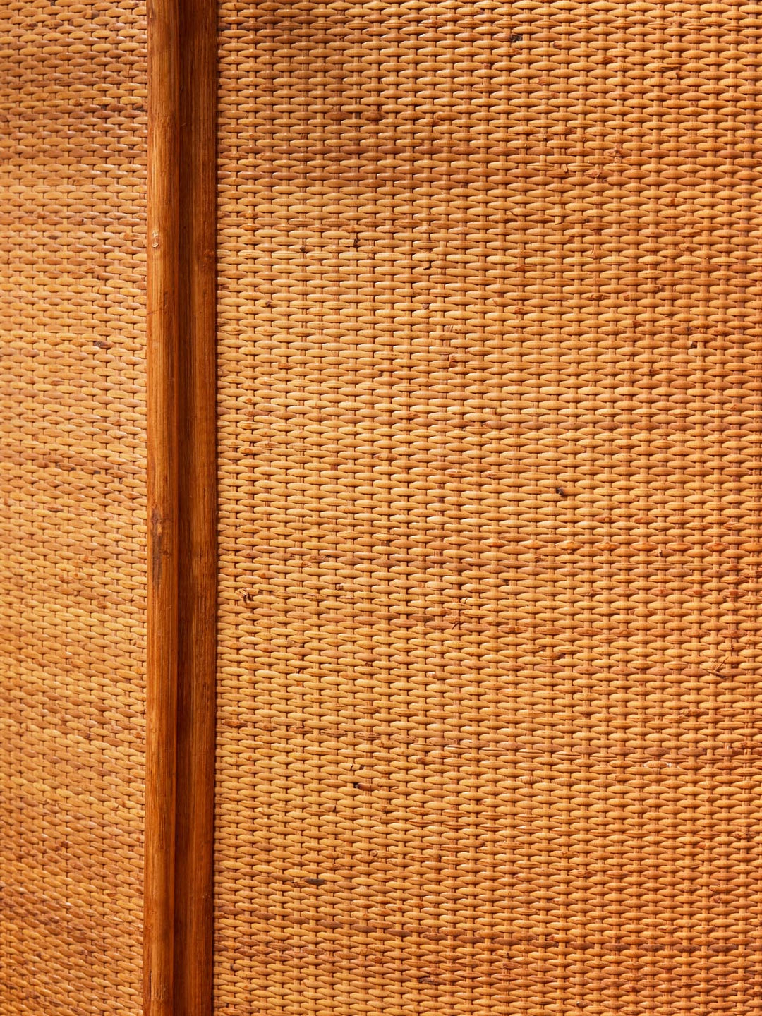 quentin-bar-rotin-65-4