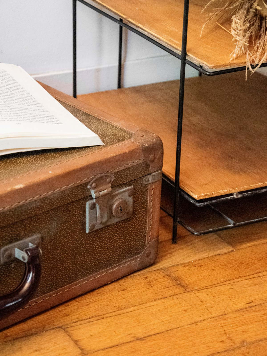 lucienne-malle-bois-277-3