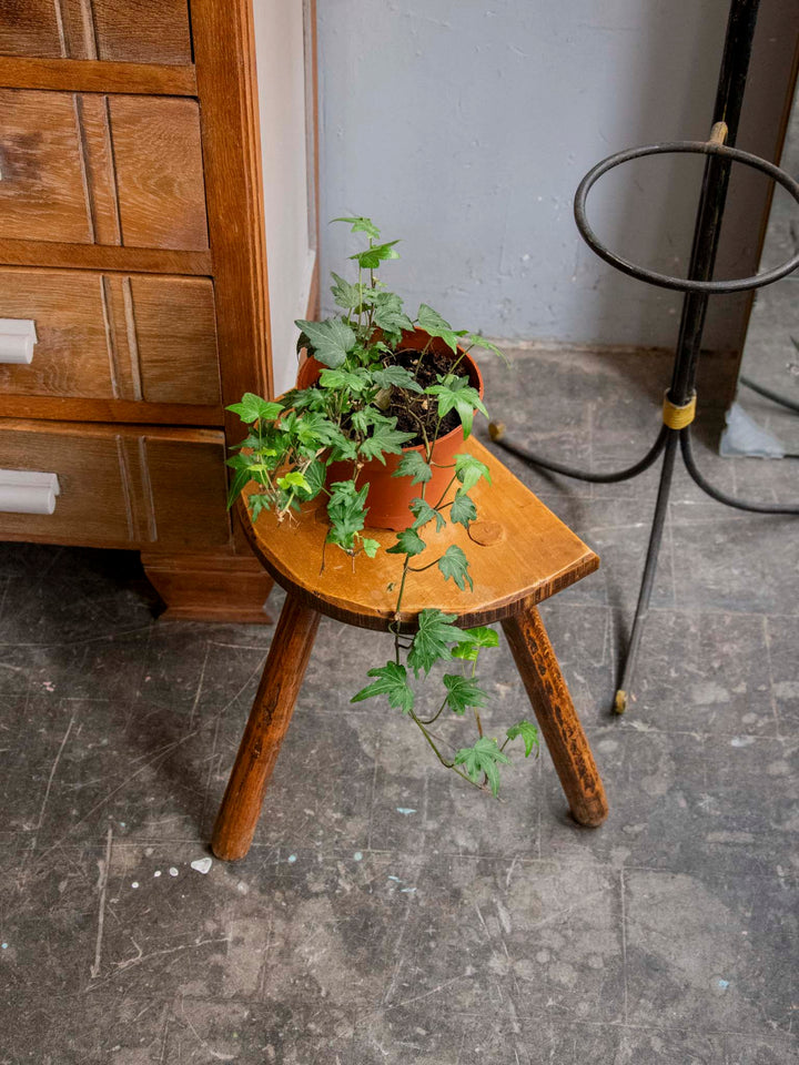 regis-tabouret-bois-1545-3