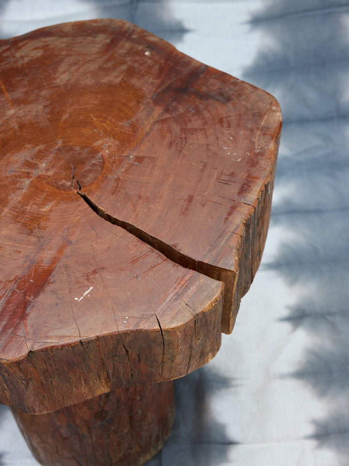 donna-table-basse-bois-brutaliste-1074-5