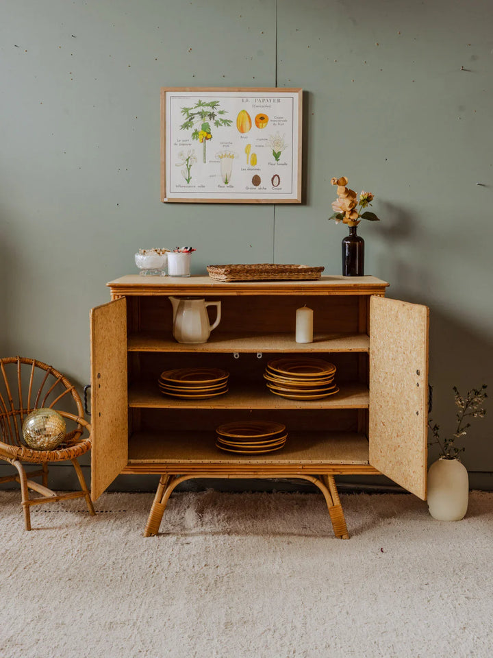 gustave-buffet-osier-539-2