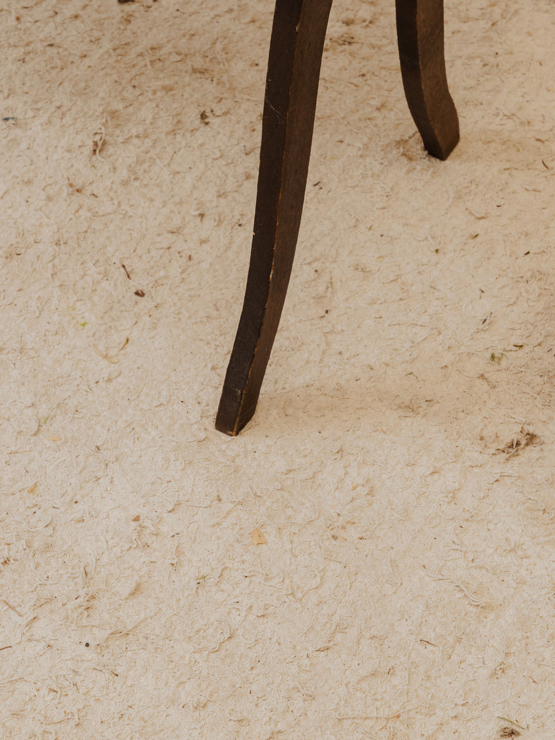brigitte-travailleuse-bois-357-12