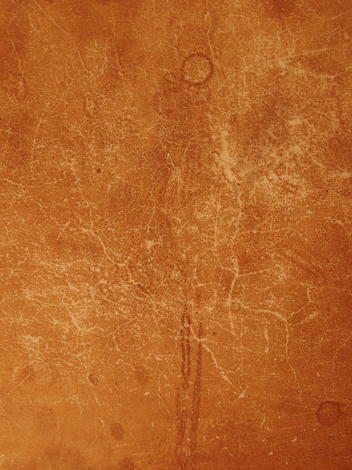 claude-chaise-bois-872-7