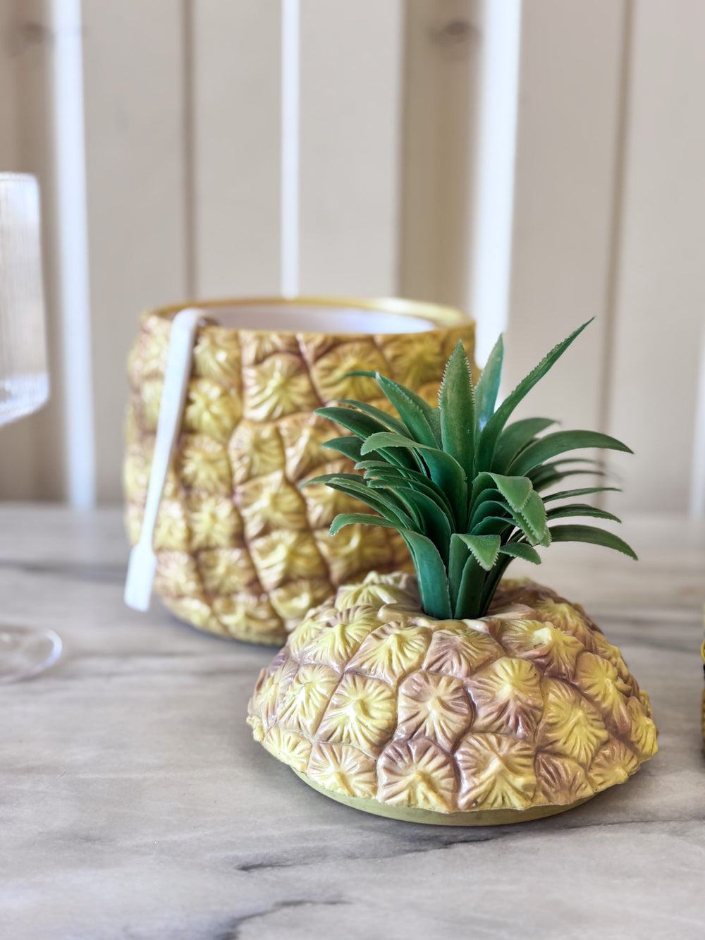 12Ananas-2.jpg