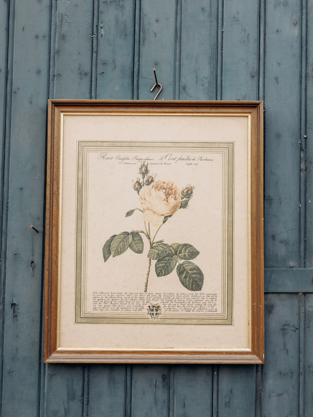 nina-toile-toile-301-2