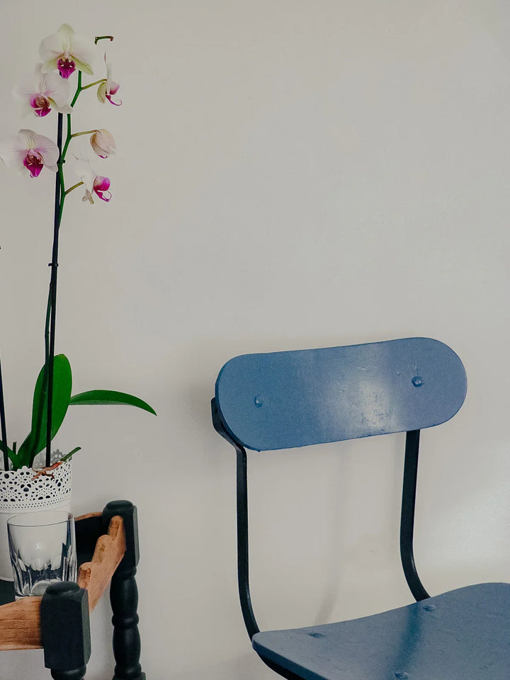 alma-chaise-acier-bois-1084-4