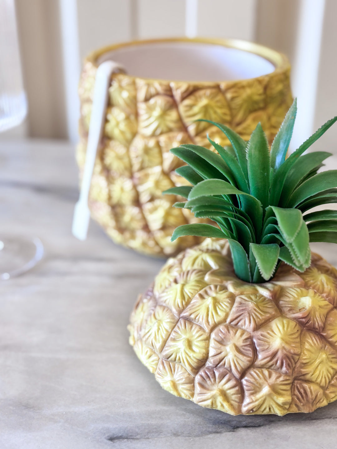 12Ananas-4.jpg