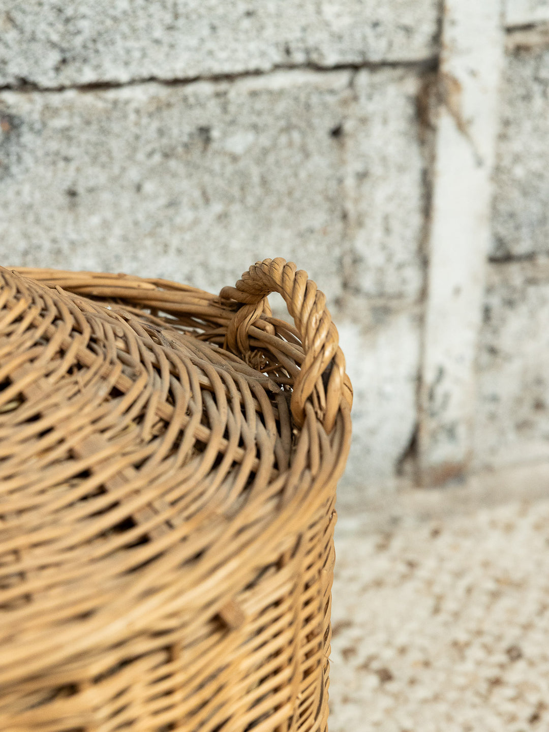 ambroise-panier-osier-952-4
