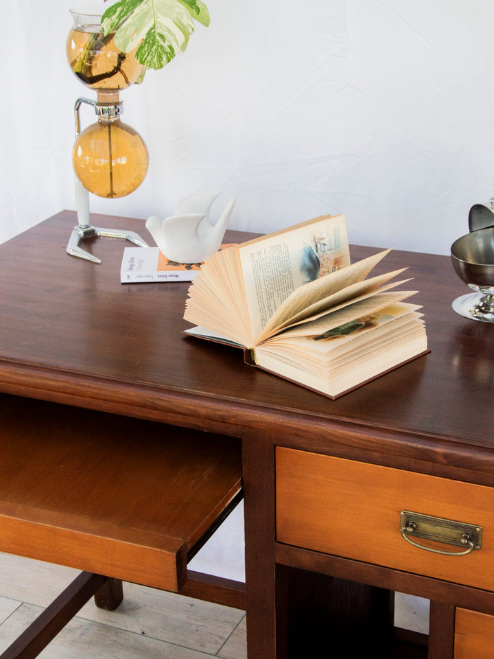 edouard-bureau-bois-580-4