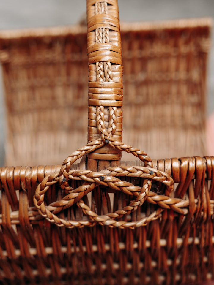 4U3A2976_Debongout-Alsace-15-04-25_056panier_0036.jpg