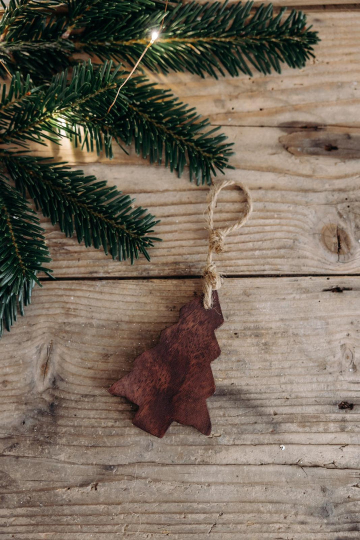 Charlotte, le set de 3 décorations de Noël - Debongout