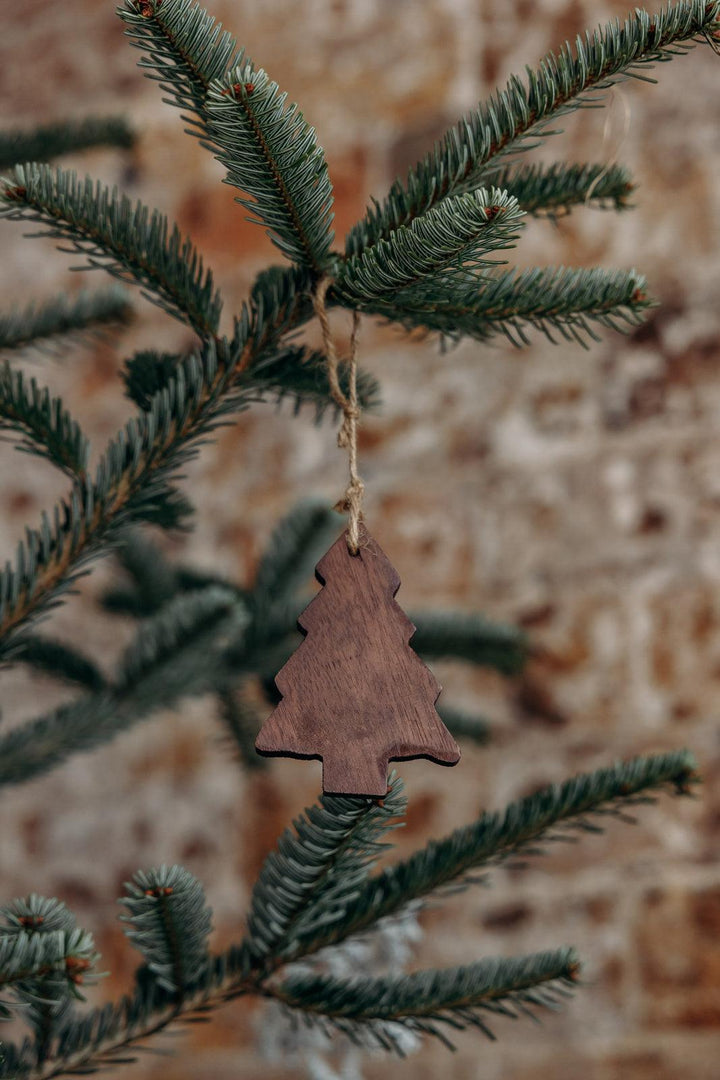 Charlotte, le set de 3 décorations de Noël - Debongout