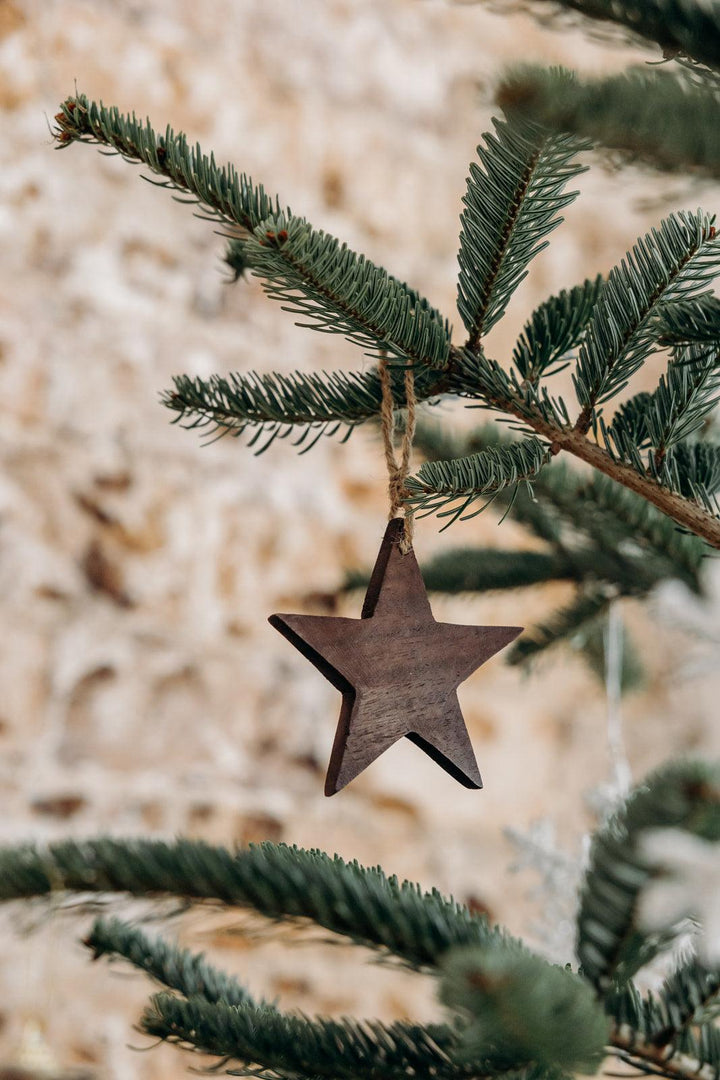 Charlotte, le set de 3 décorations de Noël - Debongout