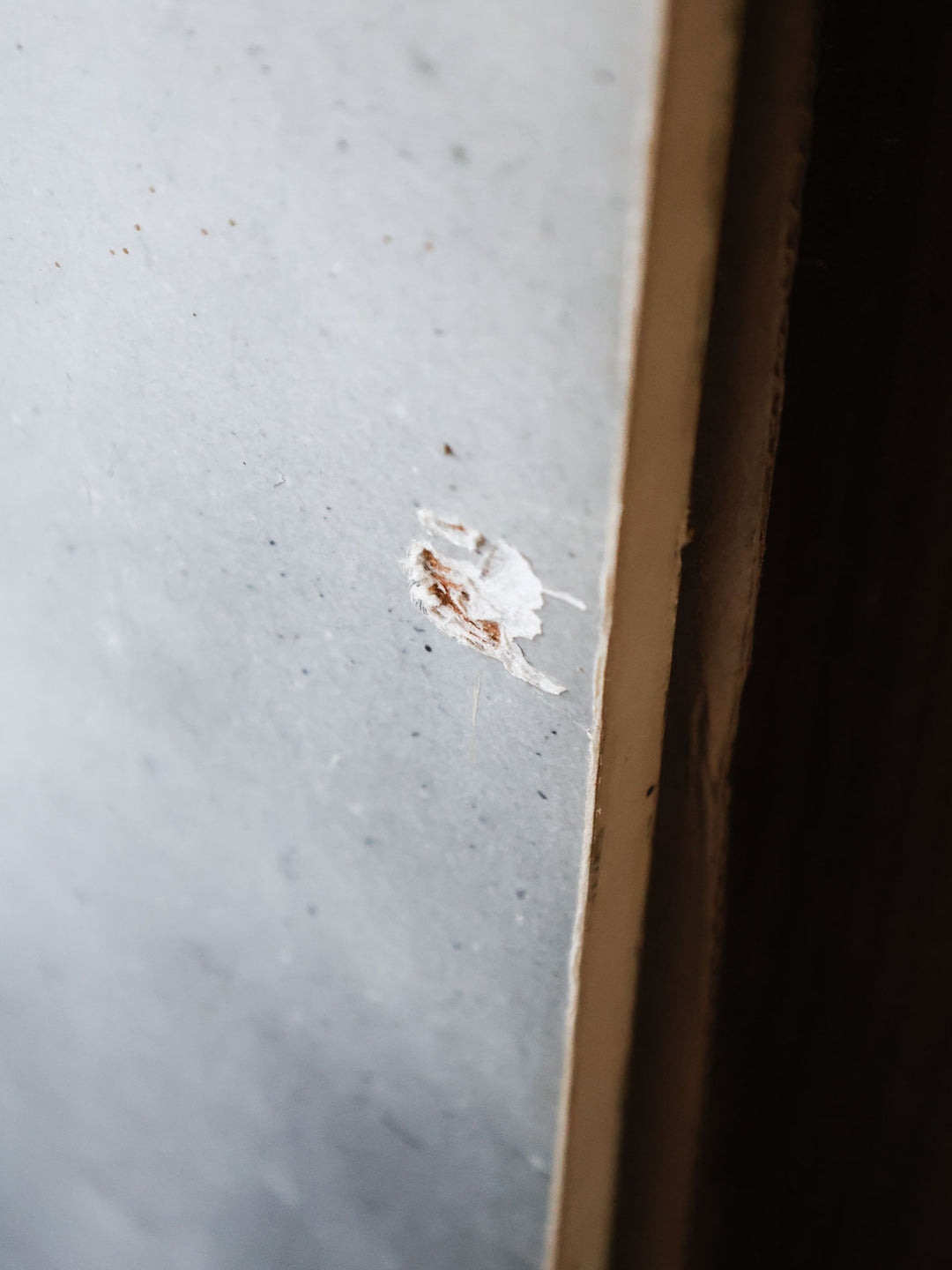 nina-toile-toile-335-5