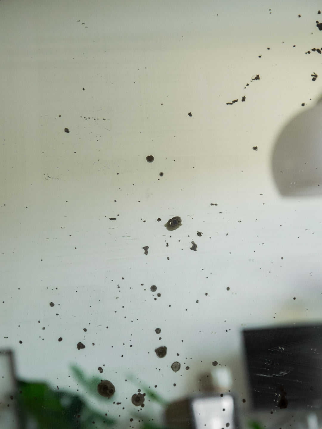 georges-miroir-verre-811-5