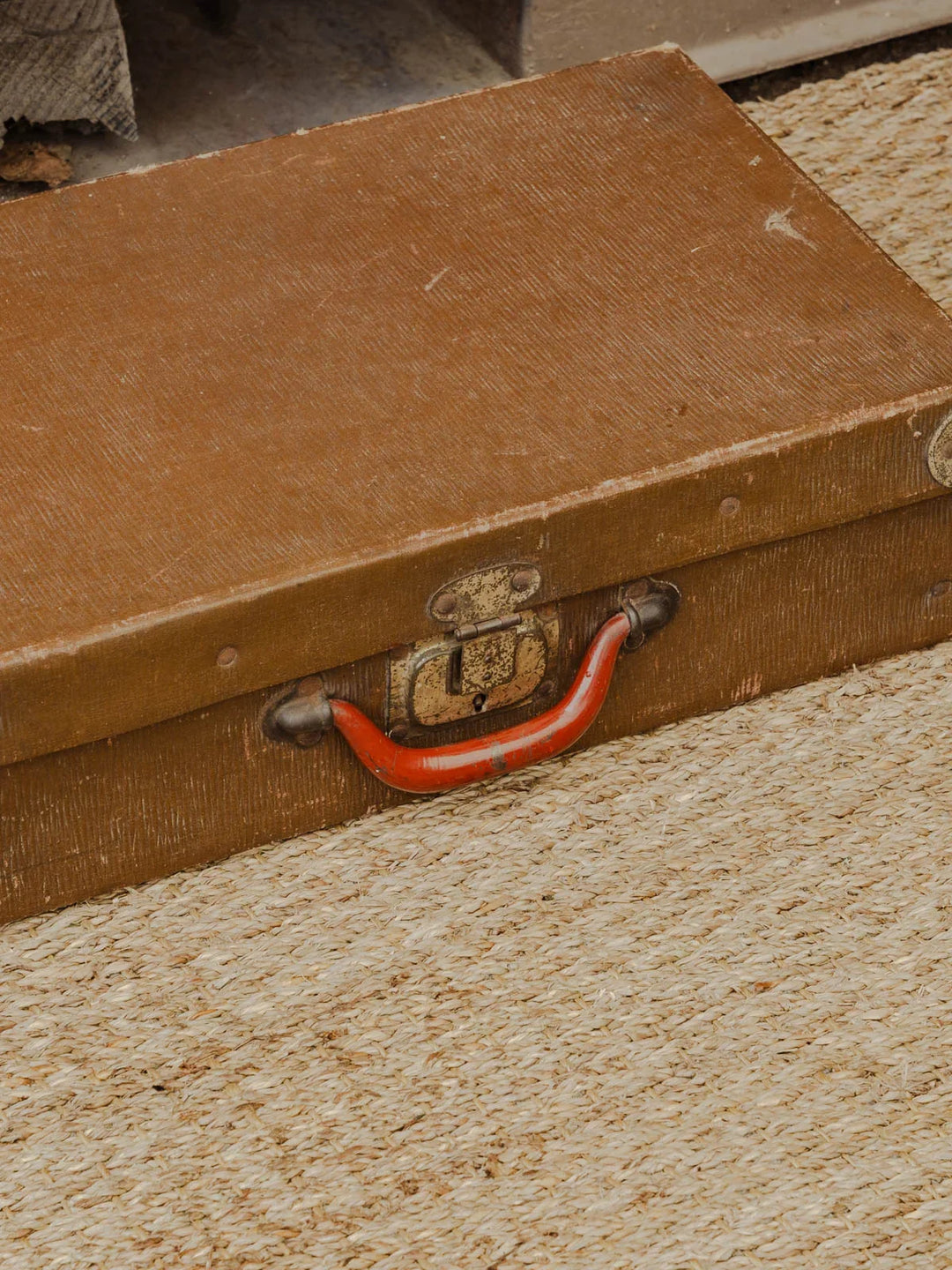 lucienne-malle-bois-258-9