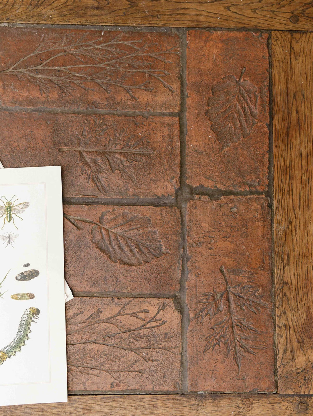 Table_Basse_Faience_Herbier-8.jpg