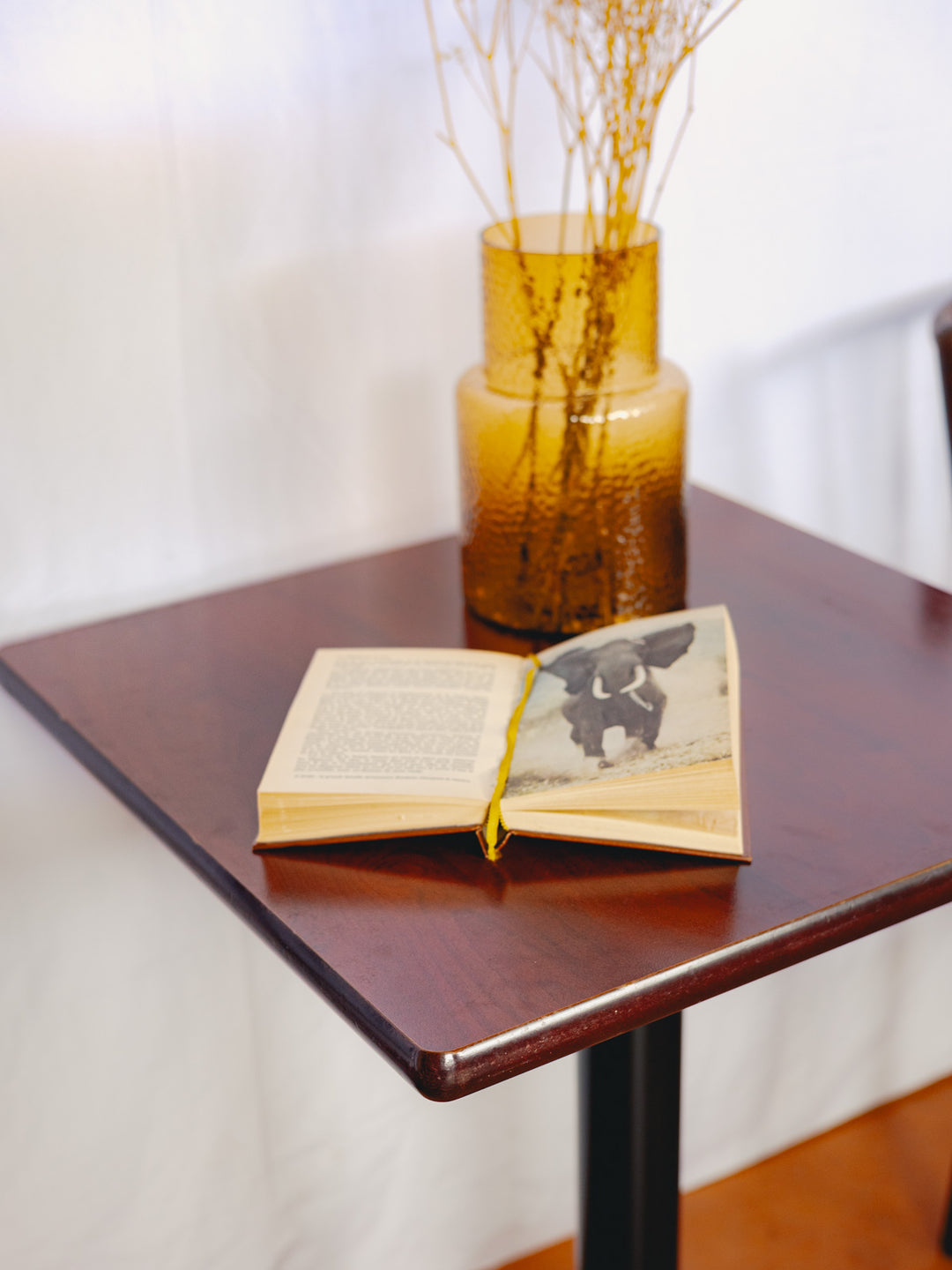 denise-table-à-manger-bistro-bois-128-9