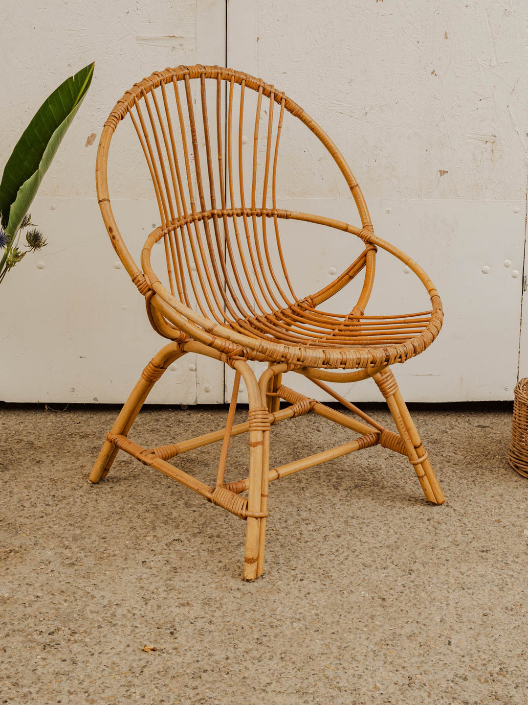 ernest-fauteuil-rotin-852-6