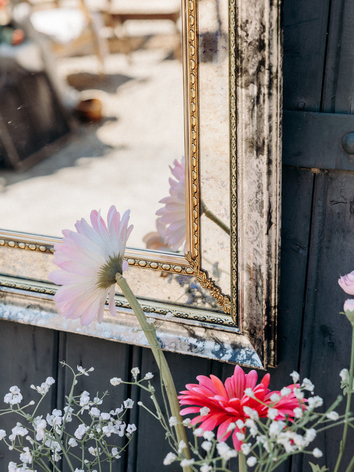 georges-miroir-plastique-611-4