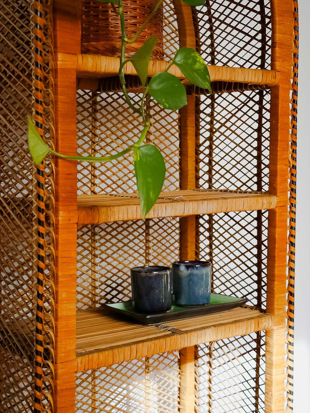 madeleine-bibliotheque-osier-698-6