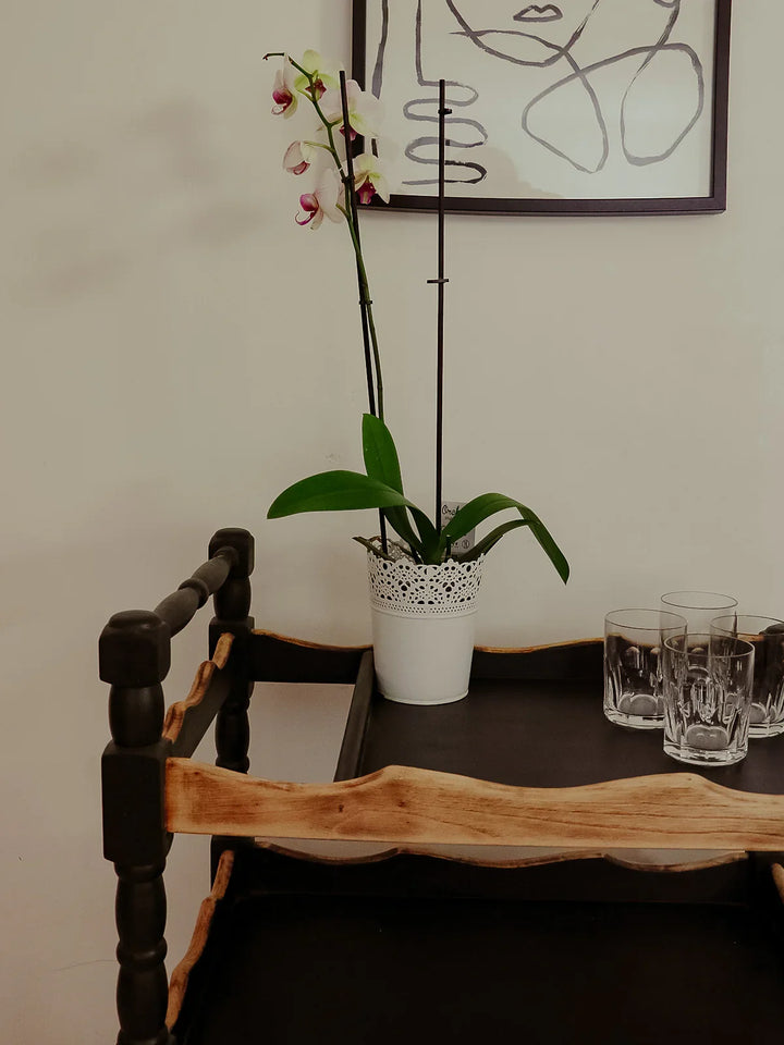 henriette-desserte-chene-133-7