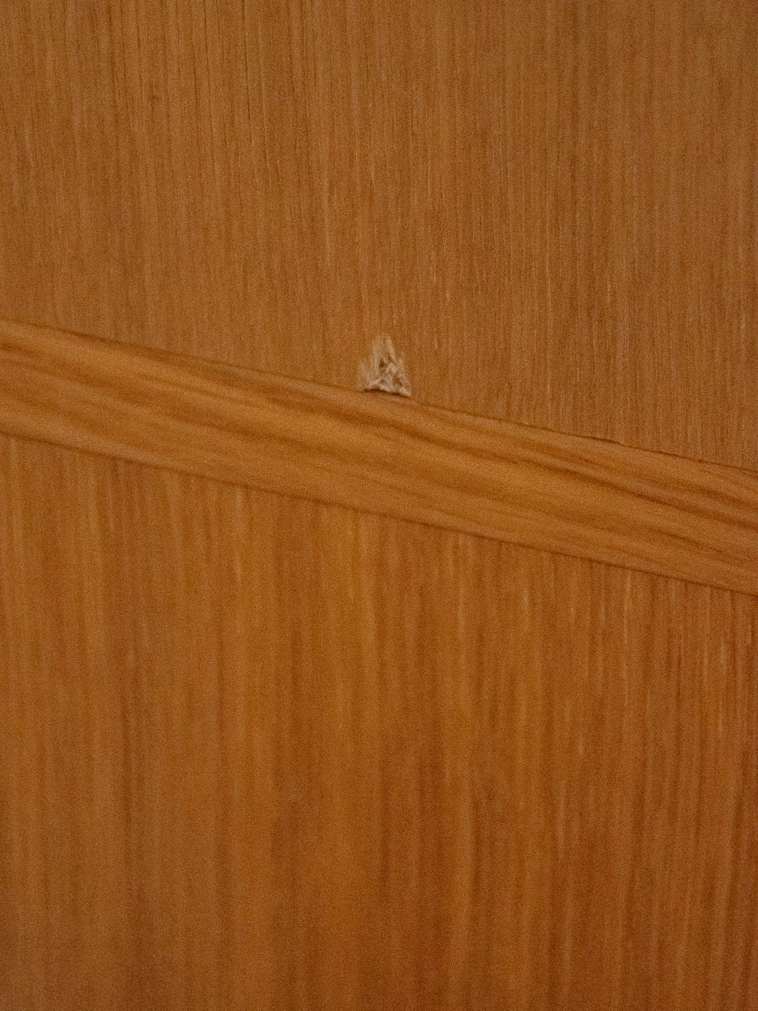 gustave-buffet-bois-504-11