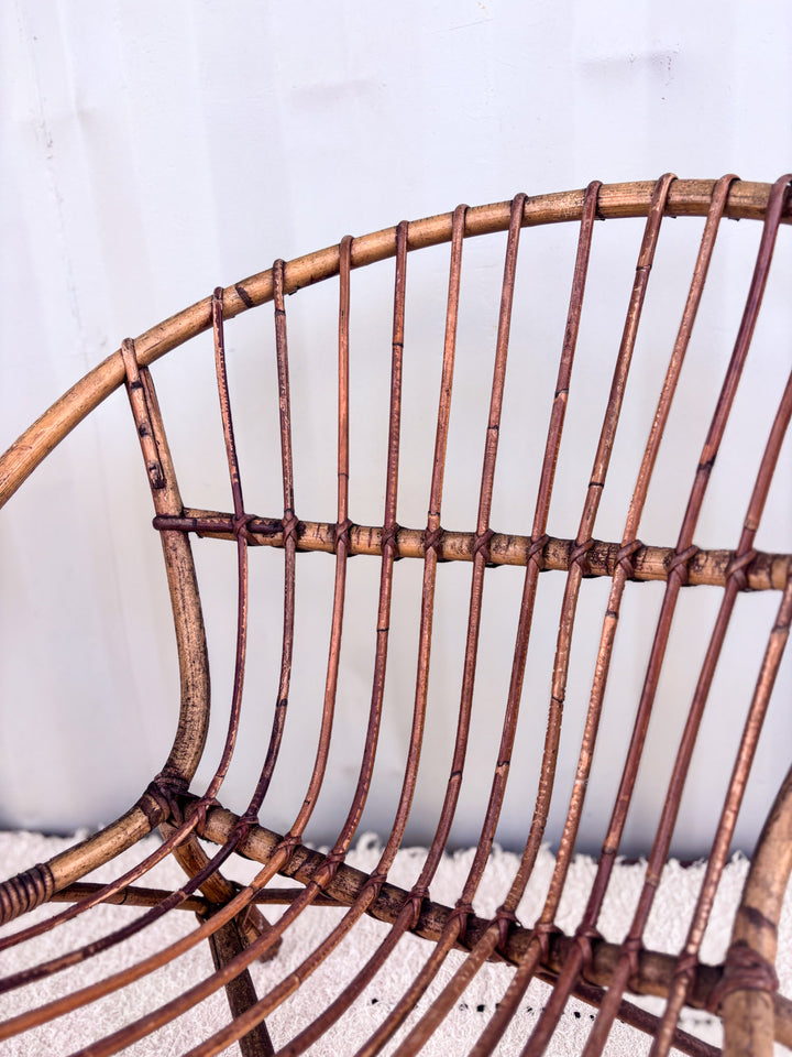 23fauteuilcoquilleX3-4.jpg