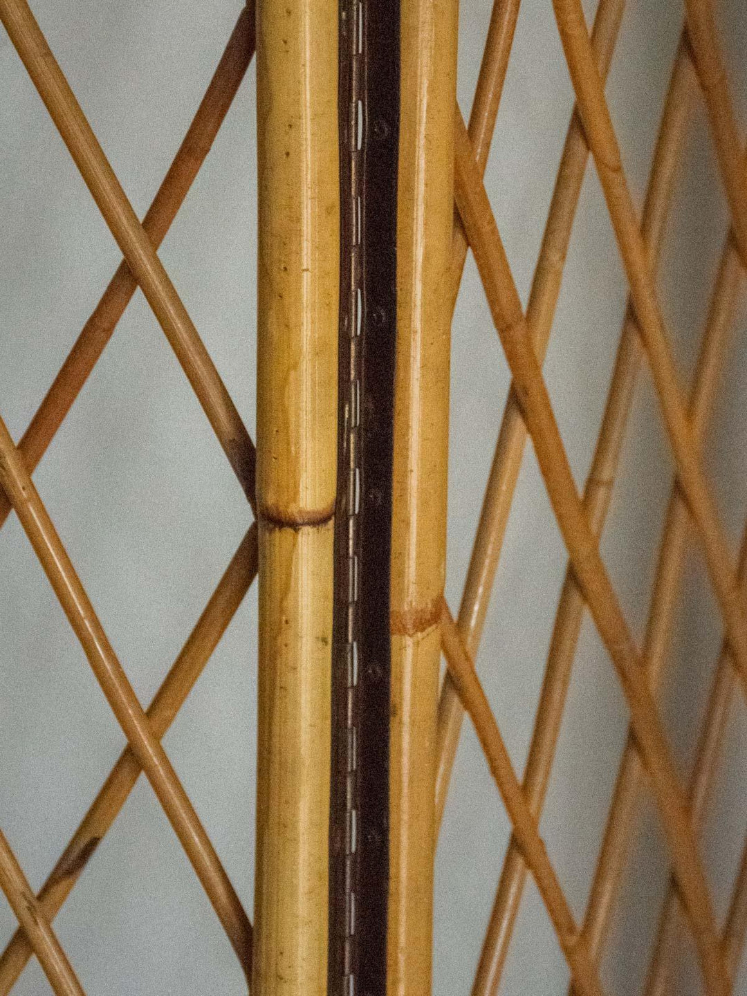 felix-paravent-rotin-27-4