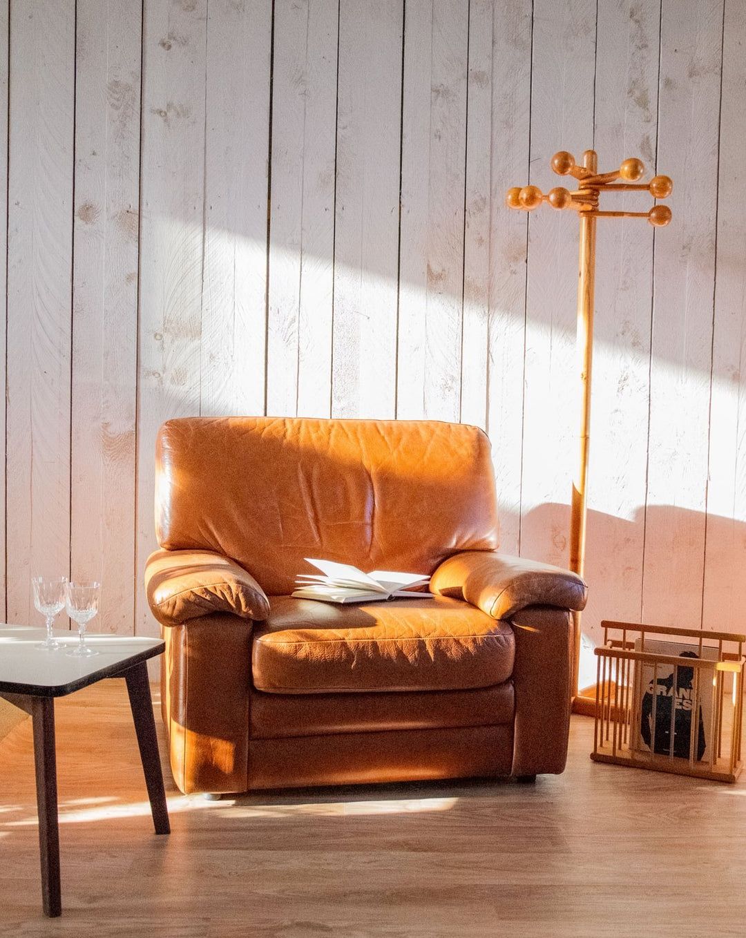 jakob-fauteuil-cuir-733-1