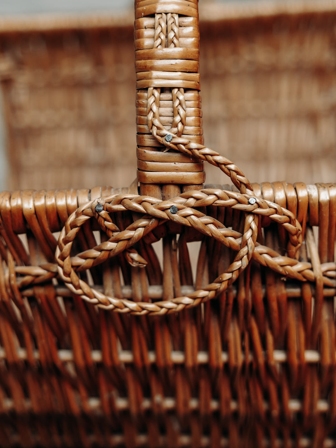 4U3A2974_Debongout-Alsace-15-04-25_056panier_0035.jpg