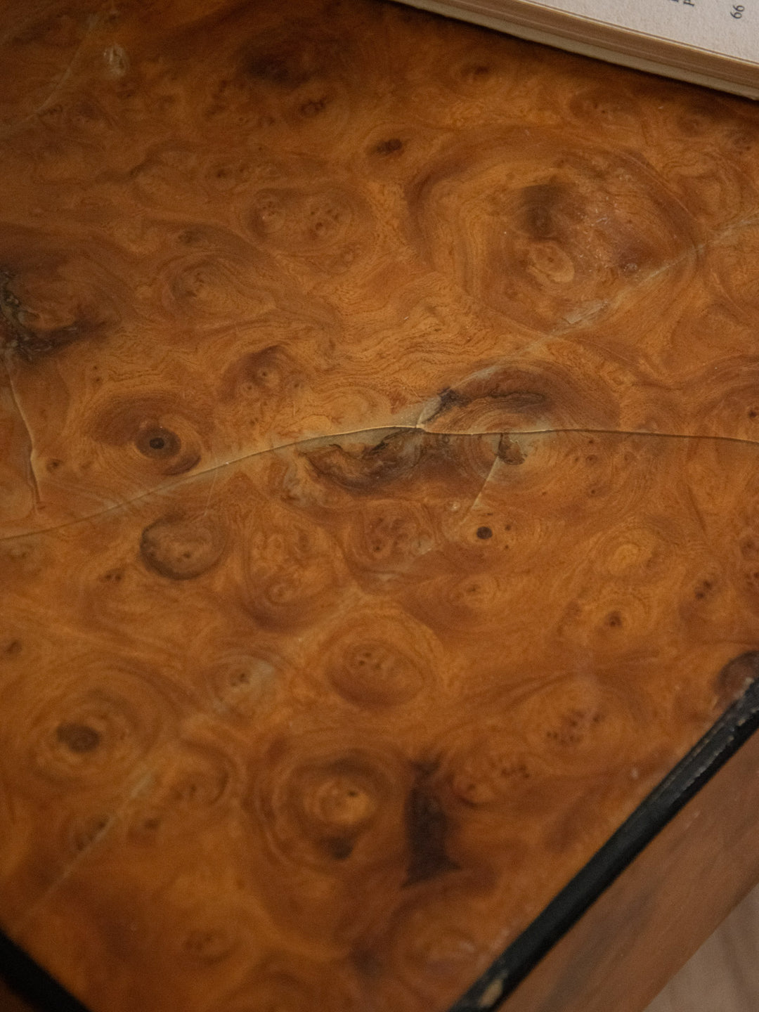 donna-table-basse-orme-566-8