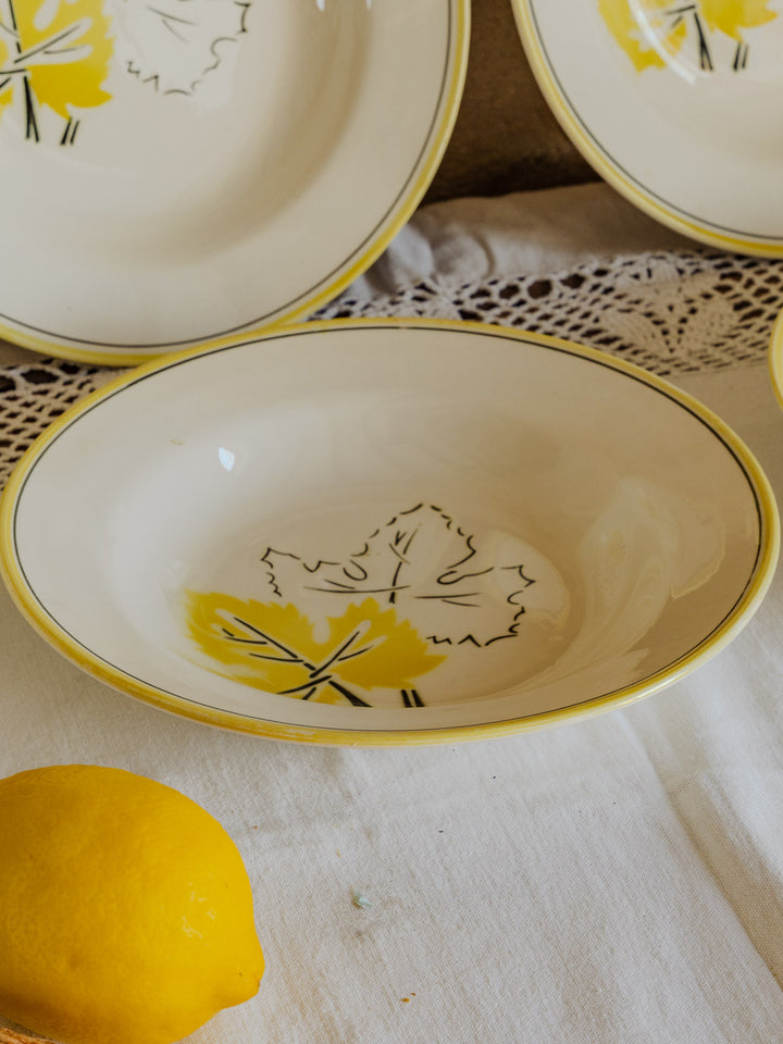 antoinette-assiette-vintage-faïence-274-6