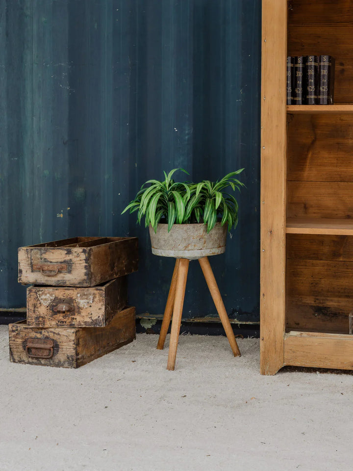 ariel-porte-plante-bois-490-2