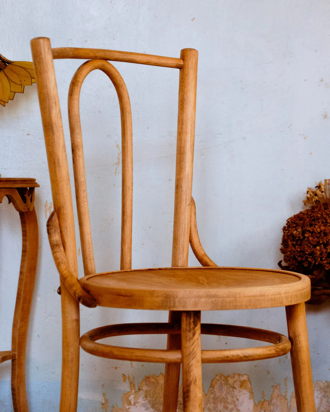 claude-chaise-hêtre-1204-3