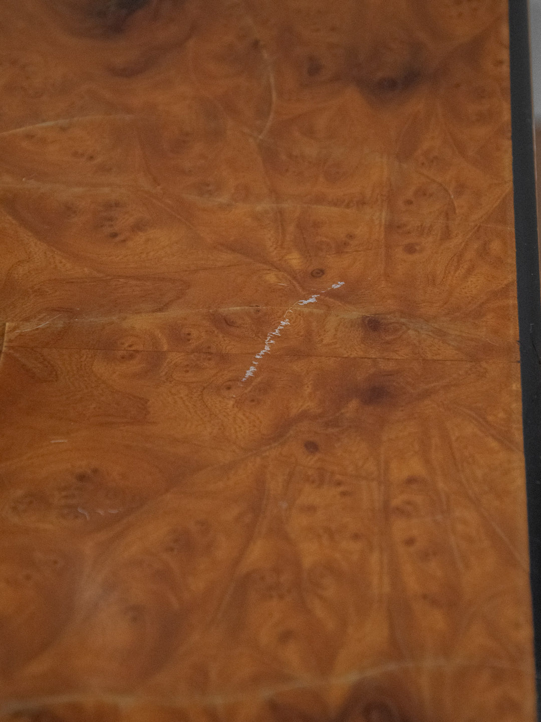 donna-table-basse-orme-566-9