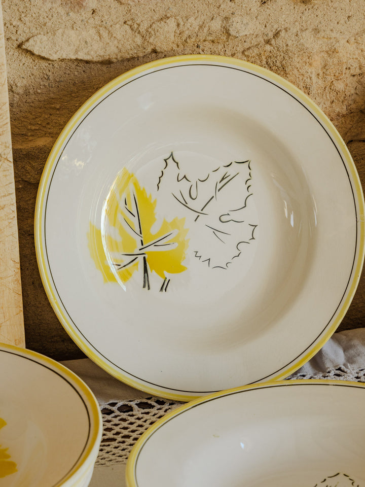 antoinette-assiette-vintage-faïence-274-5