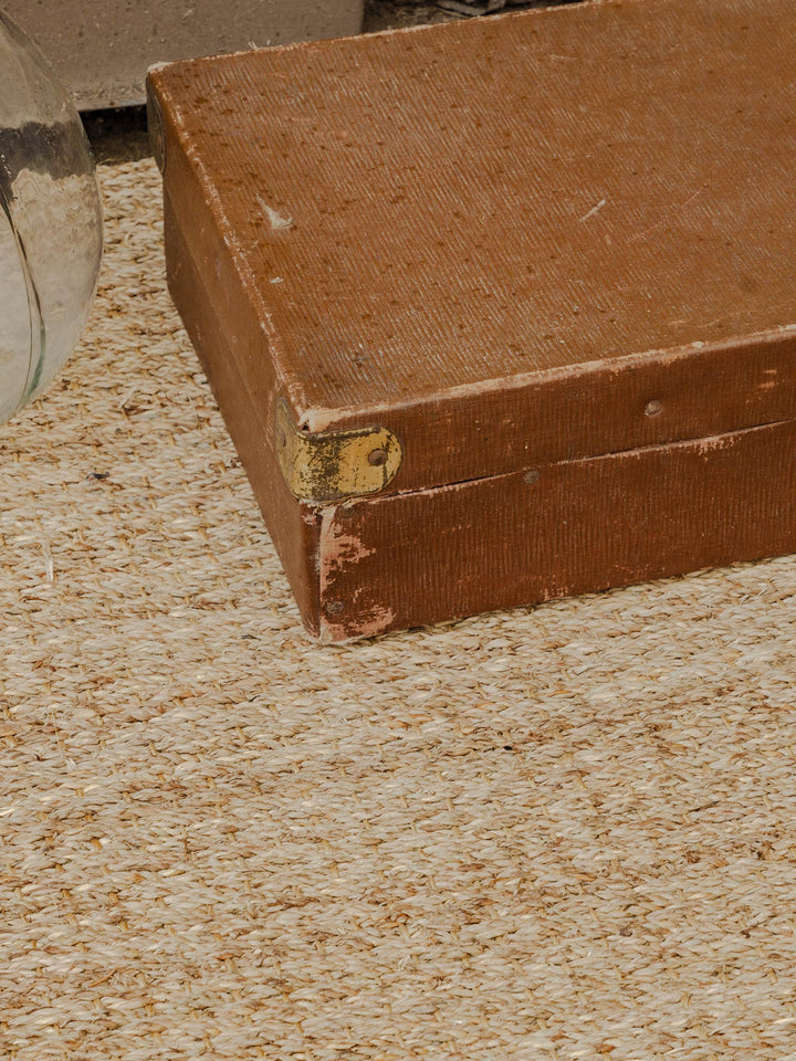 lucienne-malle-bois-258-11