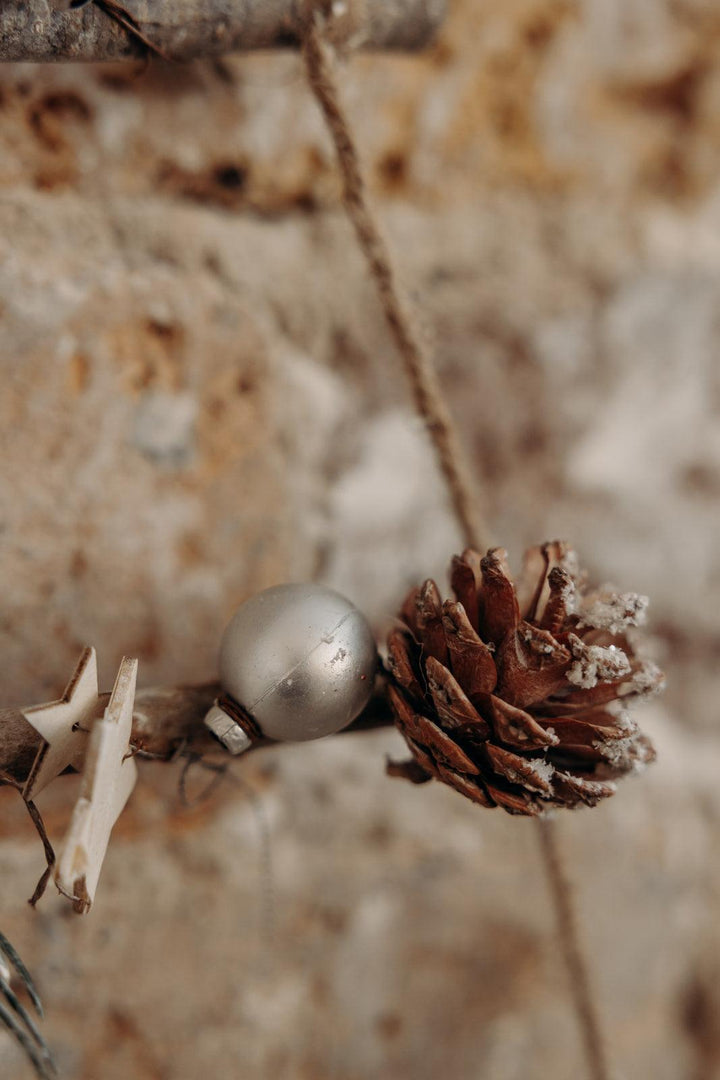 Jules, le sapin en bois - Debongout