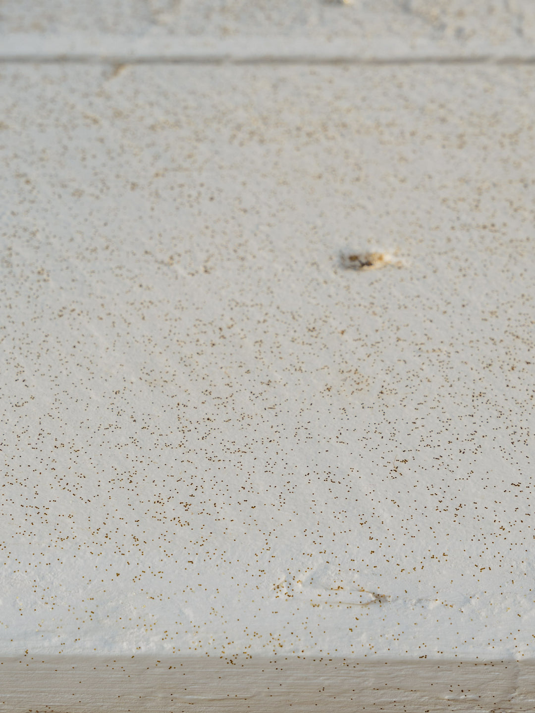 romy-table-à-manger-bois-456-9