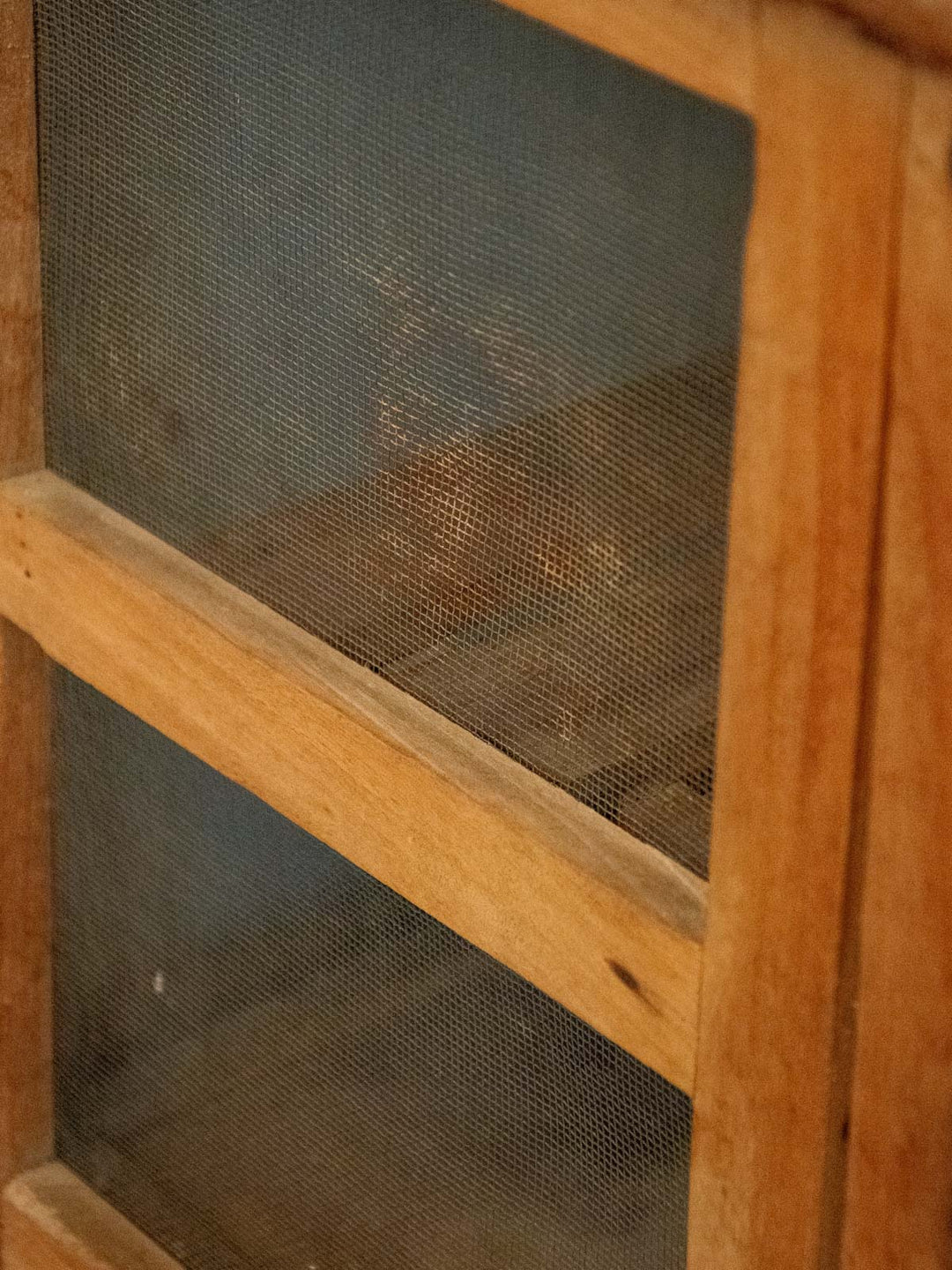 guy-garde-manger-bois-34-8