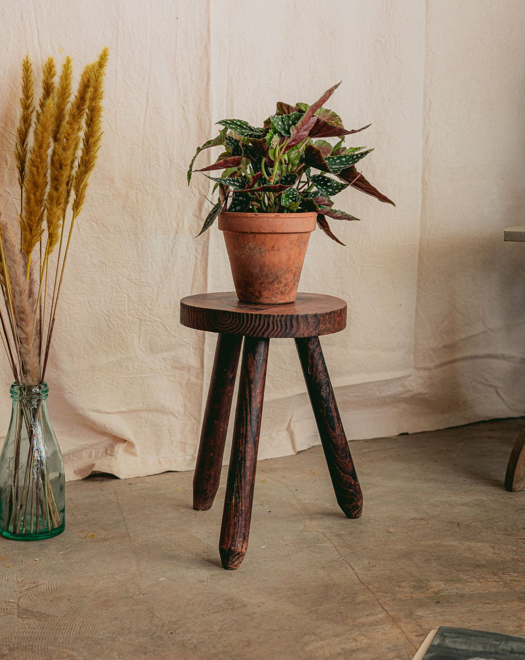 regis-tabouret-bois-tripode-1535-1